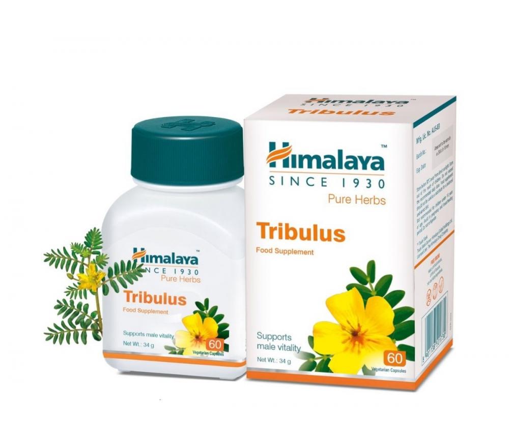 Himalaya Tribulus Terrestris, 60 kaps.