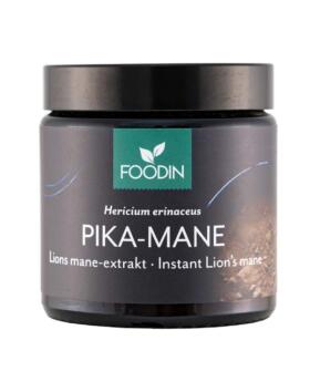 FOODIN Pika-Mane 40&nbsp;g (Lions mane)