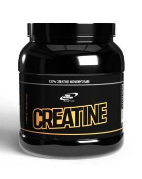 Pro Nutrition Creatine, 600g